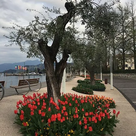 Caba D'annunzio Bardolino