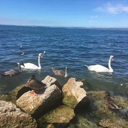 公寓 Caba D'annunzio *