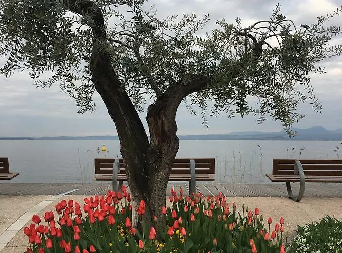 Caba D'annunzio Апартаменти Бардоліно