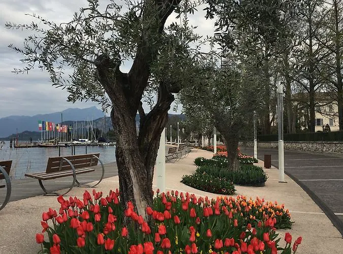 Caba D'annunzio Бардоліно