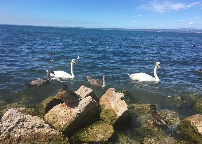 Апартаменти Caba D'annunzio *